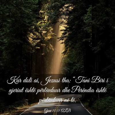 Picture 03 - Gjoni 13:31 ALB - Kur doli ai, Jezusi tha: “Tani Biri i njeriut - Bible Verse Picture