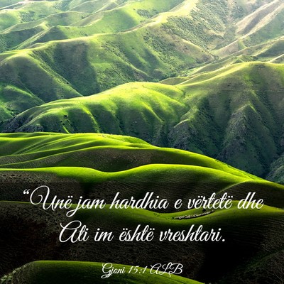 Picture 03 - Gjoni 15:1 ALB - “Unë jam hardhia e vërtetë dhe Ati im - Bible Verse Picture