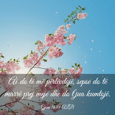 Picture 03 - Gjoni 16:14 ALB - Ai do të më përlëvdojë, sepse do të marrë - Bible Verse Picture