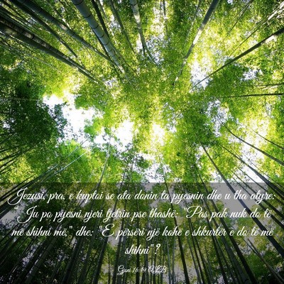Picture 03 - Gjoni 16:19 ALB - Jezusi, pra, e kuptoi se ata donin ta pyesnin dhe - Bible Verse Picture
