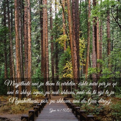 Picture 03 - Gjoni 16:7 ALB - Megjithatë unë ju them të vërtetën: është - Bible Verse Picture