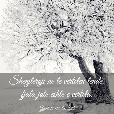 Picture 03 - Gjoni 17:17 ALB - Shenjtëroji në të vërtetën tënde; fjala - Bible Verse Picture