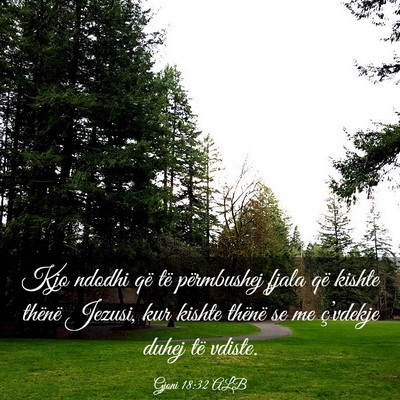 Picture 03 - Gjoni 18:32 ALB - Kjo ndodhi që të përmbushej fjala që kishte - Bible Verse Picture