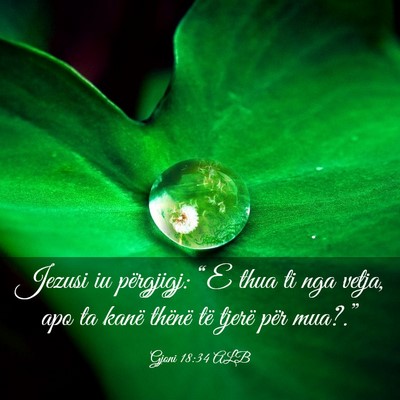 Picture 03 - Gjoni 18:34 ALB - Jezusi iu përgjigj: “E thua ti nga vetja, apo - Bible Verse Picture
