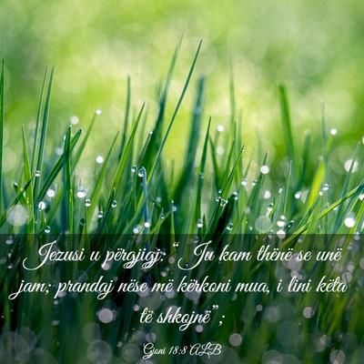 Picture 03 - Gjoni 18:8 ALB - Jezusi u përgjigj: “Ju kam thënë se unë - Bible Verse Picture