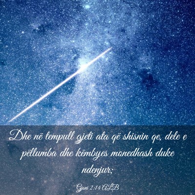 Picture 03 - Gjoni 2:14 ALB - Dhe në tempull gjeti ata që shisnin qe, dele e - Bible Verse Picture