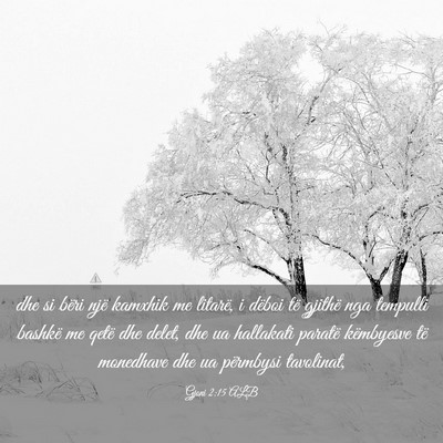 Picture 03 - Gjoni 2:15 ALB - dhe si bëri një kamxhik me litarë, i dëboi - Bible Verse Picture