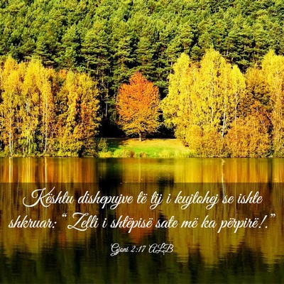 Picture 03 - Gjoni 2:17 ALB - Kështu dishepujve të tij i kujtohej se ishte - Bible Verse Picture