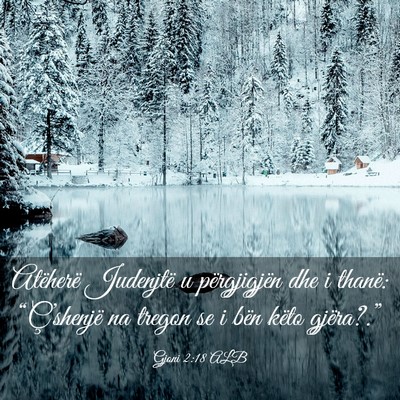 Picture 03 - Gjoni 2:18 ALB - Atëherë Judenjtë u përgjigjën dhe i thanë: - Bible Verse Picture