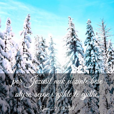 Picture 03 - Gjoni 2:24 ALB - por Jezusit nuk u zinte besë atyre, sepse i - Bible Verse Picture