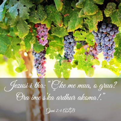 Picture 03 - Gjoni 2:4 ALB - Jezusi i tha: “Ç’ke me mua, o grua? Ora ime - Bible Verse Picture