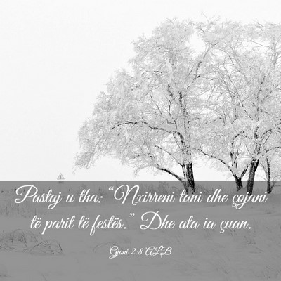 Picture 03 - Gjoni 2:8 ALB - Pastaj u tha: “Nxirreni tani dhe çojani të - Bible Verse Picture