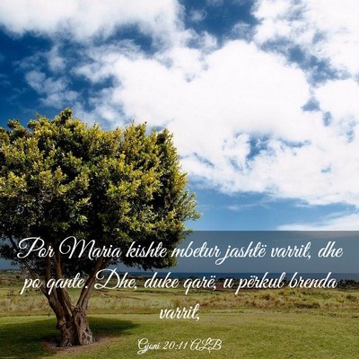 Picture 03 - Gjoni 20:11 ALB - Por Maria kishte mbetur jashtë varrit, dhe po - Bible Verse Picture