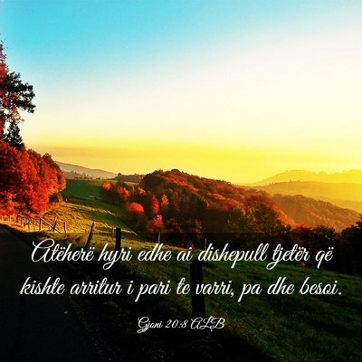 Picture 03 - Gjoni 20:8 ALB - Atëherë hyri edhe ai dishepull tjetër që - Bible Verse Picture
