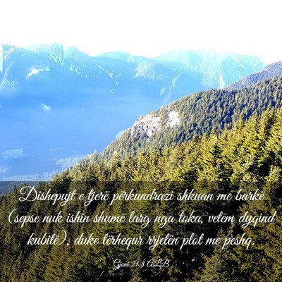 Picture 03 - Gjoni 21:8 ALB - Dishepujt e tjerë përkundrazi shkuan me barkë - Bible Verse Picture