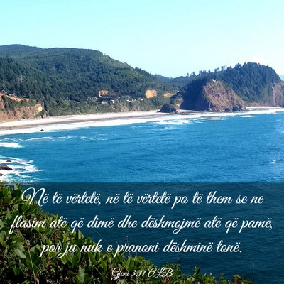 Picture 03 - Gjoni 3:11 ALB - Në të vërtetë, në të vërtetë po të them - Bible Verse Picture