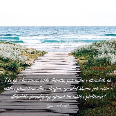 Picture 03 - Gjoni 3:29 ALB - Ai që e ka nusen është dhëndri, por miku i - Bible Verse Picture