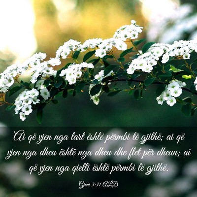 Picture 03 - Gjoni 3:31 ALB - Ai që vjen nga lart është përmbi të gjithë; - Bible Verse Picture