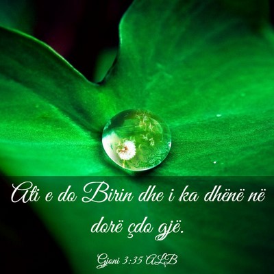 Picture 03 - Gjoni 3:35 ALB - Ati e do Birin dhe i ka dhënë në dorë çdo - Bible Verse Picture