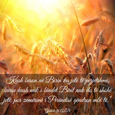 Picture 03 - Gjoni 3:36 ALB - Kush beson në Birin ka jetë të përjetshme, - Bible Verse Picture