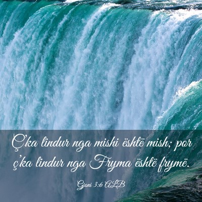Picture 03 - Gjoni 3:6 ALB - Ç’ka lindur nga mishi është mish; por - Bible Verse Picture