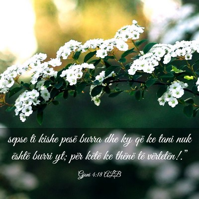 Picture 03 - Gjoni 4:18 ALB - sepse ti kishe pesë burra dhe ky që ke tani nuk - Bible Verse Picture