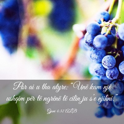 Picture 03 - Gjoni 4:32 ALB - Por ai u tha atyre: “Unë kam një ushqim për - Bible Verse Picture