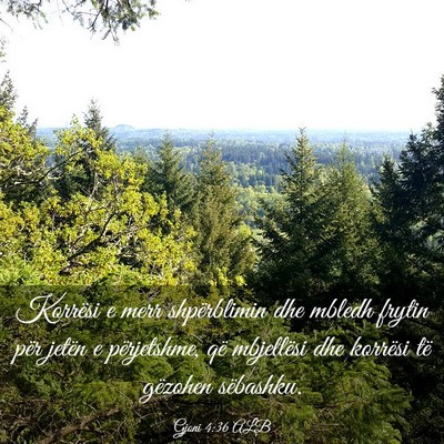 Picture 03 - Gjoni 4:36 ALB - Korrësi e merr shpërblimin dhe mbledh frytin - Bible Verse Picture