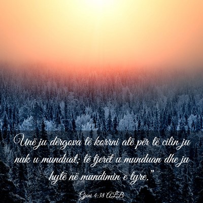 Picture 03 - Gjoni 4:38 ALB - Unë ju dërgova të korrni atë për të cilin - Bible Verse Picture