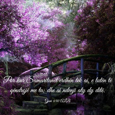 Picture 03 - Gjoni 4:40 ALB - Por kur Samaritanët erdhën tek ai, e lutën të - Bible Verse Picture