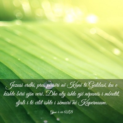 Picture 03 - Gjoni 4:46 ALB - Jezusi erdhi, pra, përsëri në Kanë të - Bible Verse Picture
