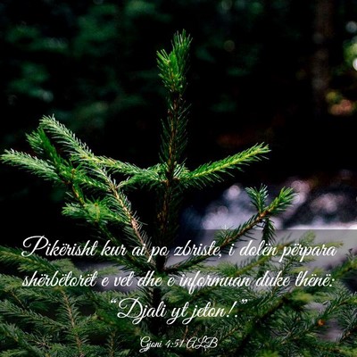 Picture 03 - Gjoni 4:51 ALB - Pikërisht kur ai po zbriste, i dolën përpara - Bible Verse Picture