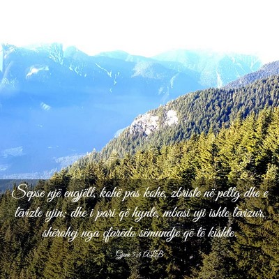 Picture 03 - Gjoni 5:4 ALB - Sepse një engjëll, kohë pas kohe, zbriste në - Bible Verse Picture