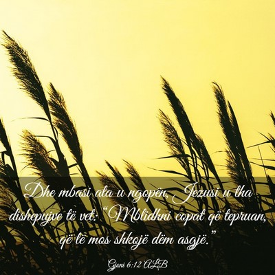 Picture 03 - Gjoni 6:12 ALB - Dhe mbasi ata u ngopën, Jezusi u tha dishepujve - Bible Verse Picture
