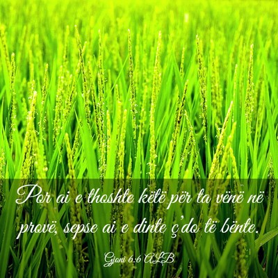 Picture 03 - Gjoni 6:6 ALB - Por ai e thoshte këtë për ta vënë në - Bible Verse Picture