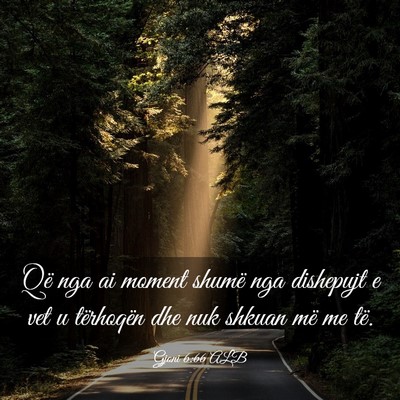 Picture 03 - Gjoni 6:66 ALB - Që nga ai moment shumë nga dishepujt e vet u - Bible Verse Picture