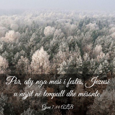Picture 03 - Gjoni 7:14 ALB - Por, aty nga mesi i festës, Jezusi u ngjit në - Bible Verse Picture