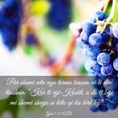 Picture 03 - Gjoni 7:31 ALB - Por shumë veta nga turma besuan në të dhe - Bible Verse Picture