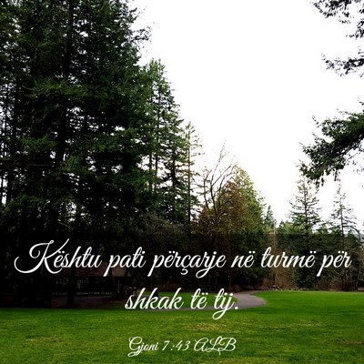Picture 03 - Gjoni 7:43 ALB - Kështu pati përçarje në turmë për shkak të - Bible Verse Picture