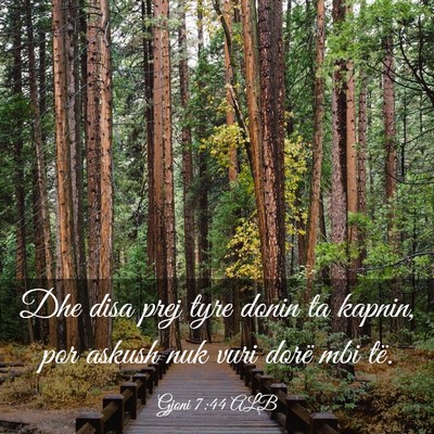 Picture 03 - Gjoni 7:44 ALB - Dhe disa prej tyre donin ta kapnin, por askush - Bible Verse Picture