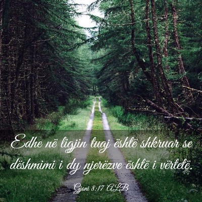 Picture 03 - Gjoni 8:17 ALB - Edhe në ligjin tuaj është shkruar se dëshmimi - Bible Verse Picture