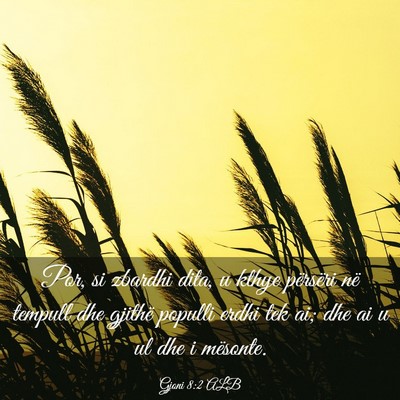 Picture 03 - Gjoni 8:2 ALB - Por, si zbardhi dita, u kthye përsëri në - Bible Verse Picture