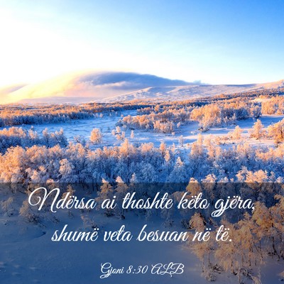 Picture 03 - Gjoni 8:30 ALB - Ndërsa ai thoshte këto gjëra, shumë veta - Bible Verse Picture