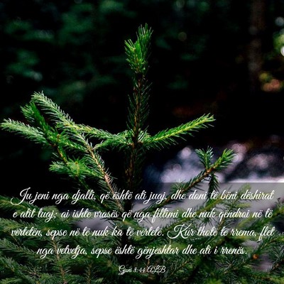 Picture 03 - Gjoni 8:44 ALB - Ju jeni nga djalli, që është ati juaj, dhe - Bible Verse Picture