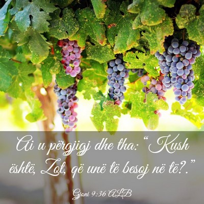 Picture 03 - Gjoni 9:36 ALB - Ai u përgjigj dhe tha: “Kush është, Zot, që - Bible Verse Picture