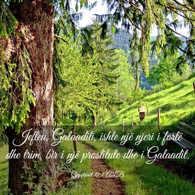 Picture 03 - Gjyqtarët 11:1 ALB - Jefteu, Galaaditi, ishte një njeri i fortë dhe - Bible Verse Picture