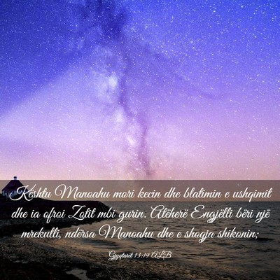 Picture 03 - Gjyqtarët 13:19 ALB - Kështu Manoahu mori kecin dhe blatimin e - Bible Verse Picture