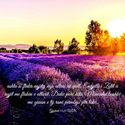 Picture 03 - Gjyqtarët 13:20 ALB - ashtu si flaka ngjitej nga altari në qiell, - Bible Verse Picture