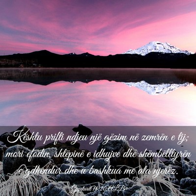 Picture 03 - Gjyqtarët 18:20 ALB - Kështu prifti ndjeu një gëzim në zemrën e - Bible Verse Picture