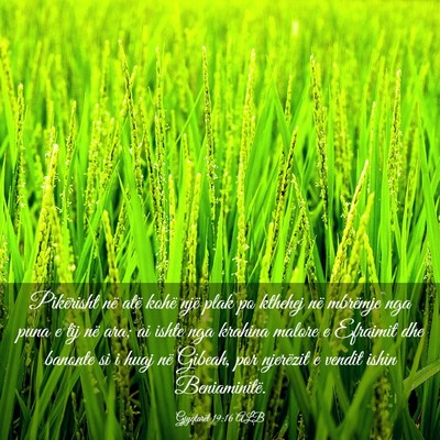 Picture 03 - Gjyqtarët 19:16 ALB - Pikërisht në atë kohë një plak po kthehej - Bible Verse Picture
